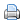 Print icon